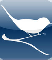 birdjournal-webbanner