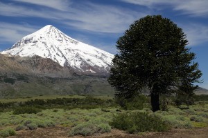 lanin-volcano_6976