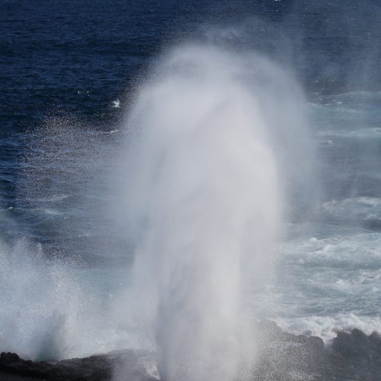 Blowhole_2987